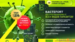 Bactefort Лохотрон