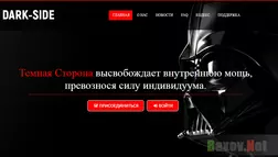 Dark Side Лохотрон