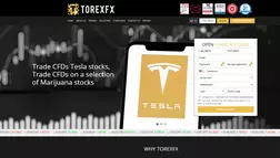torexfx отзывы и обзор. Развод, лохотрон или правда. Только честные и правдивые отзывы на Baxov.Net