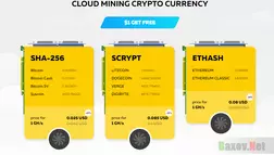 MININGCOMPANY Лохотрон