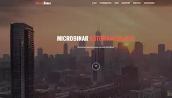 MicroBinar