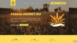 Ferma-Money отзывы и обзор. Развод, лохотрон или правда. Только честные и правдивые отзывы на Baxov.Net