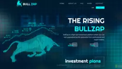 Bullzap Ltd отзывы и обзор. Развод, лохотрон или правда. Только честные и правдивые отзывы на Baxov.Net