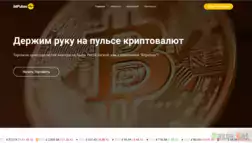 BitPulses - Обзор Проекта