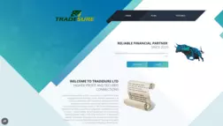 Tradesure Ltd отзывы и обзор. Развод, лохотрон или правда. Только честные и правдивые отзывы на Baxov.Net