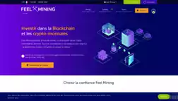 Feel Mining отзывы и обзор. Развод, лохотрон или правда. Только честные и правдивые отзывы на Baxov.Net