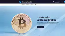 Synergycapital отзывы и обзор. Развод, лохотрон или правда. Только честные и правдивые отзывы на Baxov.Net