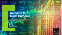 Trade Customs отзывы и обзор. Развод, лохотрон или правда. Только честные и правдивые отзывы на Baxov.Net