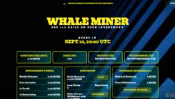 Whale Miner отзывы и обзор. Развод, лохотрон или правда. Только честные и правдивые отзывы на Baxov.Net