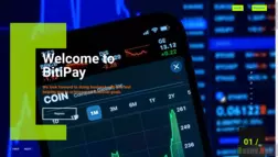 Bitipay отзывы и обзор. Развод, лохотрон или правда. Только честные и правдивые отзывы на Baxov.Net