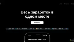 Payin отзывы и обзор. Развод, лохотрон или правда. Только честные и правдивые отзывы.