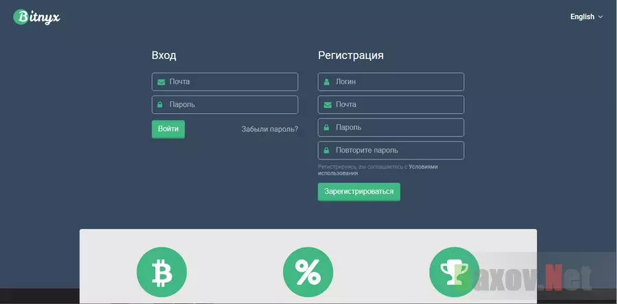 Bitnyx - на проверке