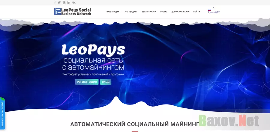 LeoPays - на проверке