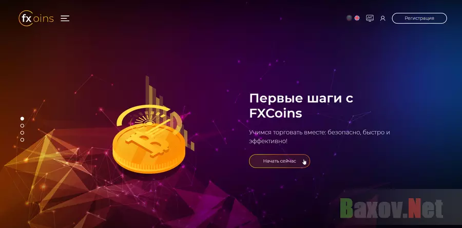 FXcoins - на проверке