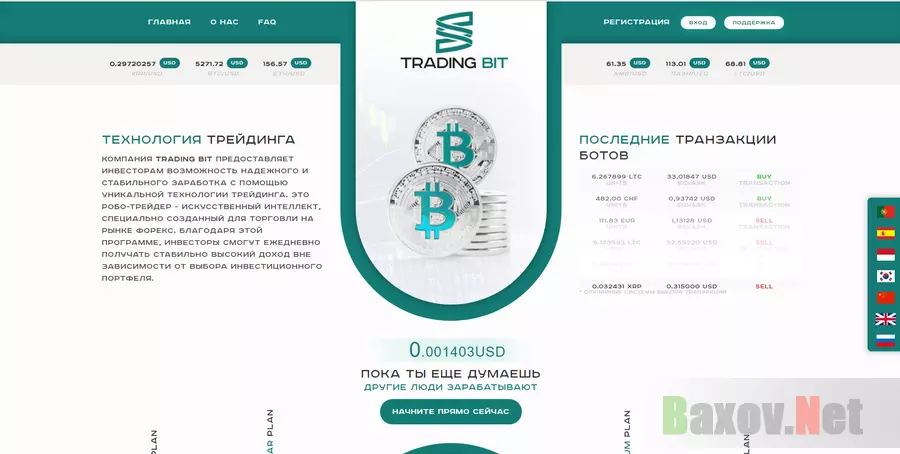 Trading Bit - Лохотрон