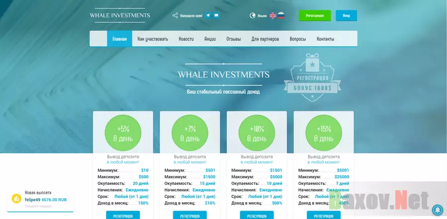 Whale Investments - лохотрон