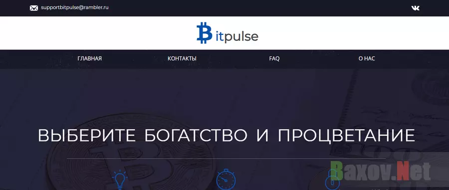 BitPulse - Лохотрон