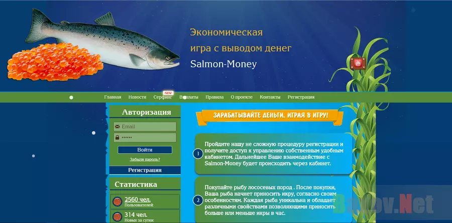 Salmon-Money - лохотрон