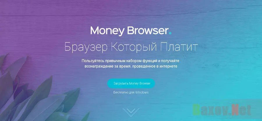 MoneyBroswer - Лохотрон