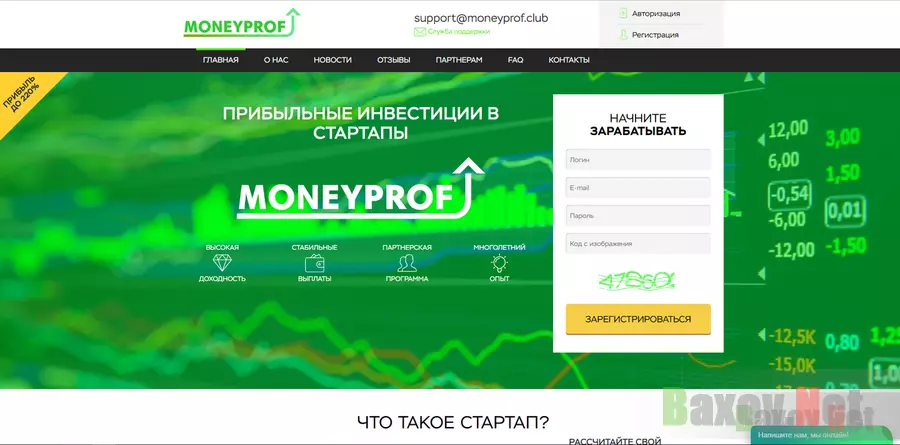 MoneyProf Просто хайп-почасовик