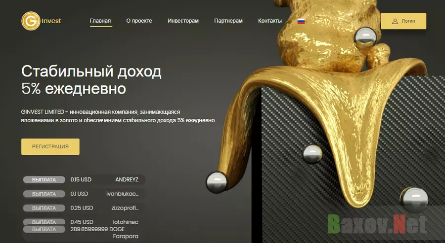 GINVEST LIMITED Хайп