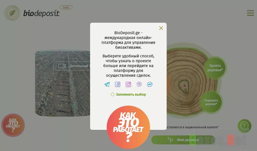 Biodeposit Лохотрон