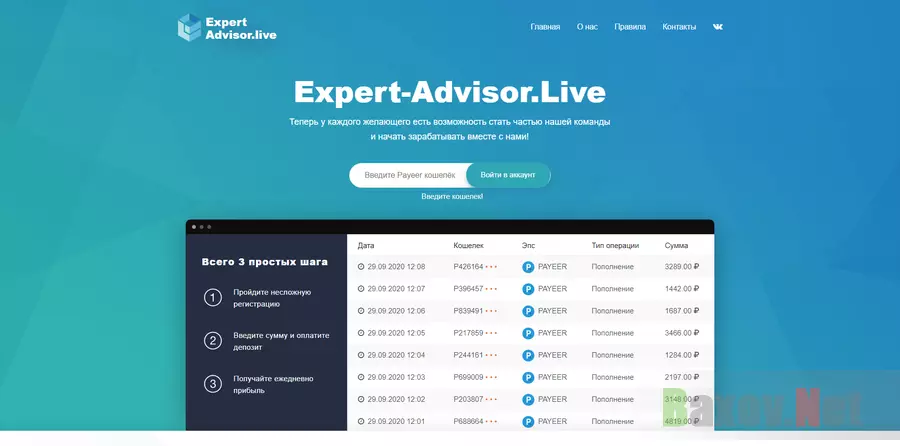 Expert-Advisor 