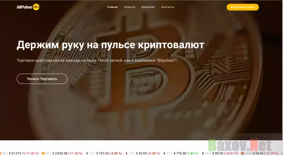 BitPulses - Обзор Проекта