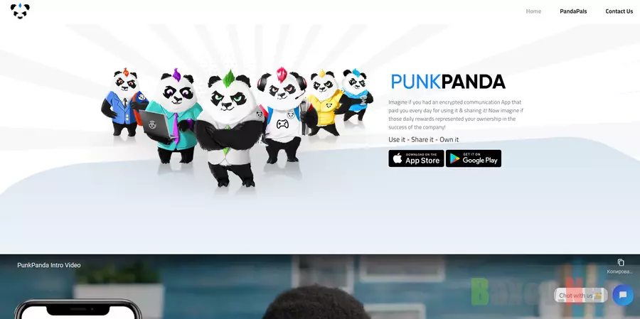 PunkPanda