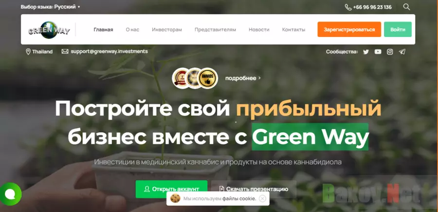 липовый хайп от мошенников для потери денег
