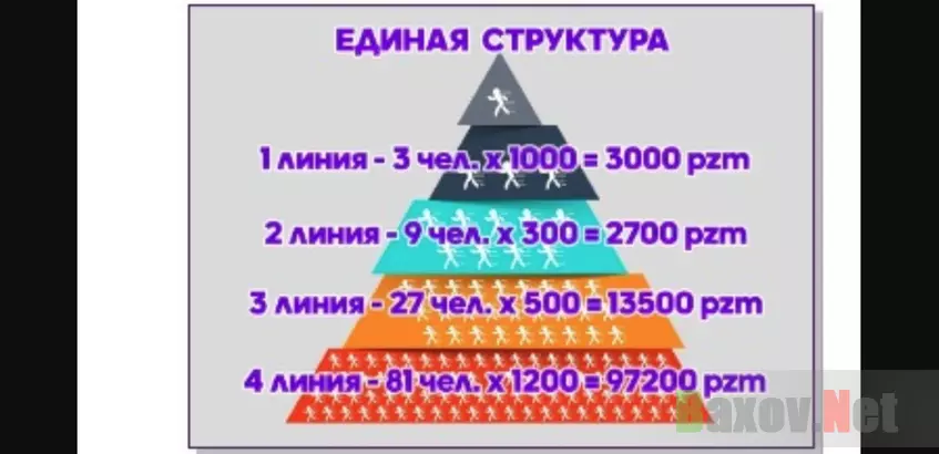 Структура финансовой пирамиды