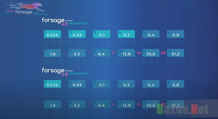 Маркетинг хайп-проекта Forsage